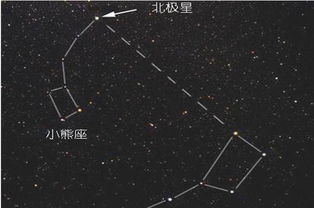 与北极星相对的方向是什么面