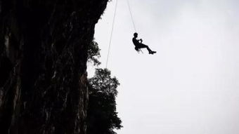 btchina 2021,btchina 百科