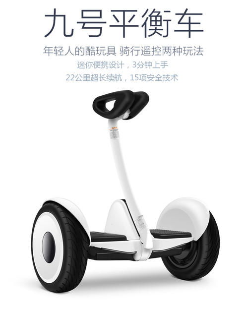 两轮自平衡电动车有哪几种品牌