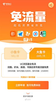 阿里鱼卡是什么？