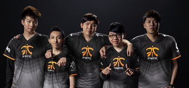 Fnatic中文是什么意思?