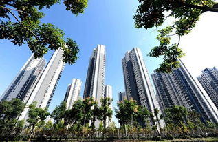 生态家园腻子好吗？怎么选择内墙腻子粉？