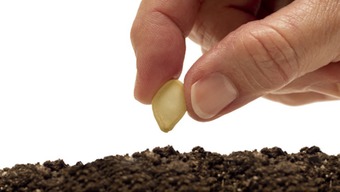 种子网上备案app下载,种子网上备案怎么备