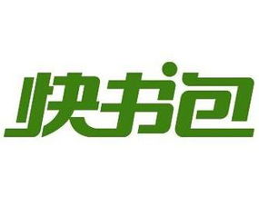 快书包采取了怎样的目标市场策略 为什么这样选择？