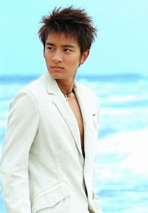 贾乃亮的个人资料