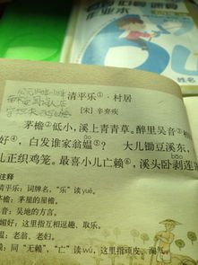 梗概的意思是什么