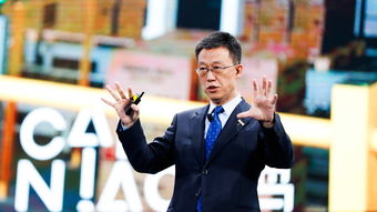 贺志强爱邵云妍吗？