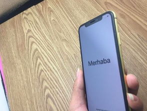 爱情数字暗语16888