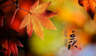 立秋吃什么对身体有好处