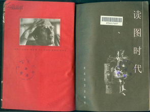 谁能解释一下“读图时代”？
