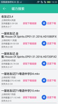 bt种子磁力搜索器 下载,bt种子磁力搜索天堂下载