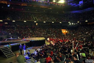 电子竞技国家队干嘛的