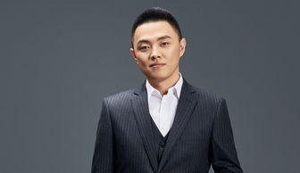 张野 青山资本,张野歌手