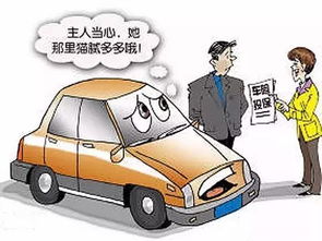 汽车保险续保和重新买有什么区别，汽车保险续保需要什么资料