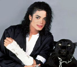 迈克尔杰克逊 怎么变白的,迈克尔杰克逊漂白娈童为什么还有那么多粉丝