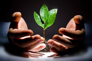 创业初期,最重要是什么?