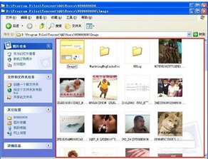 qq表情在哪个文件夹里面