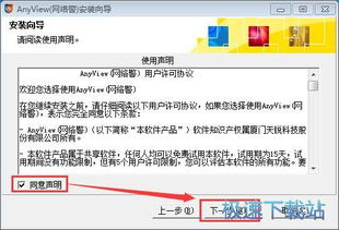 关于ANYVIEW的使用