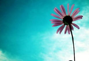 lomo风格是什么意思