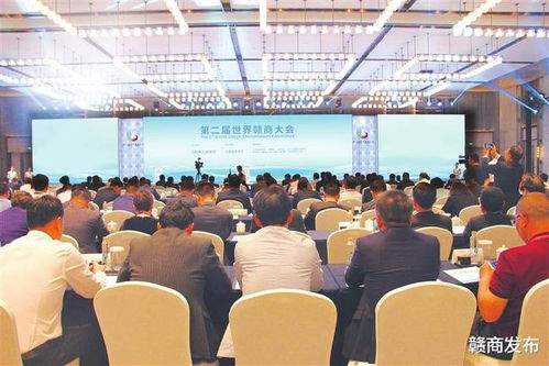 创业投资什么项目？