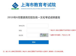 2015上海招考热线网填什么志愿好