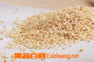 高粱米怎么吃 高粱米以怎样的方式来吃