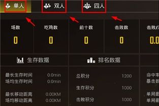 绝地求生战绩查询 绝地求生怎么查看战绩