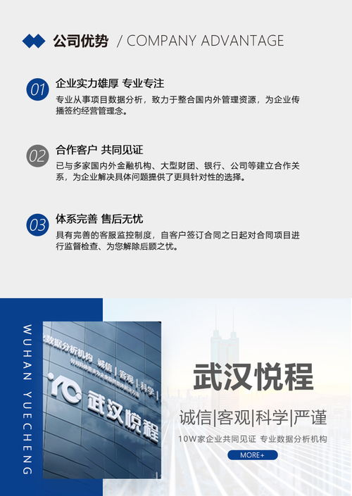 项目分析报告怎么写，投资游乐场项目分析