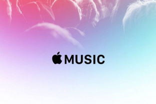 iphone音乐喜欢的歌曲在哪