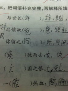 弥留之际的意思是？