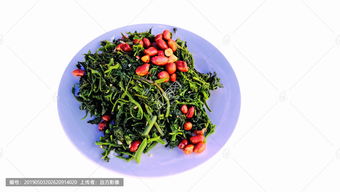 野菜有哪些，野菜图片大全及名字，野菜都有哪些品种