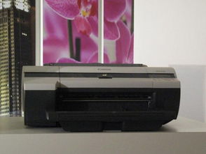 ip分片,ipf是什么病