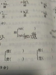 可以组什么词语四年级下册