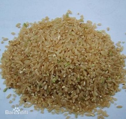 糙米是什么样的 图片大全,糙米是什么颜色