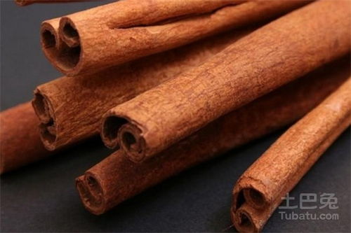 桂皮是什么的皮