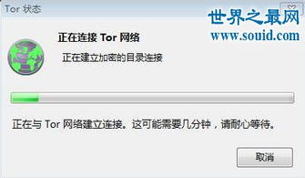影子网络的进入方法是什么？