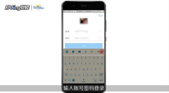 输入手机号找订单物流快递