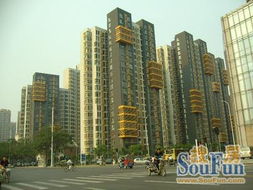 茂名市九九房地产中介服务有限公司怎么样？