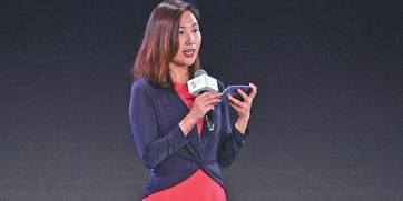 陶琳的工作经历