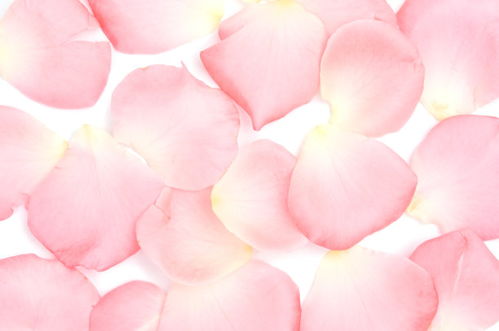 找个类似花瓣网的素材网