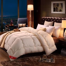 南极人质量好吗？有人能说说吗？