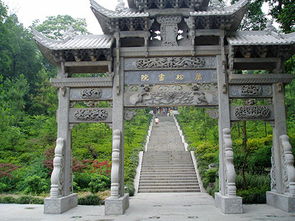 云南万松科技有限公司怎么样？