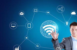 有哪些冷门的创业项目