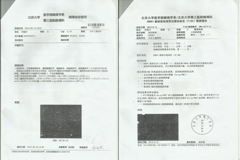 开诊断报告、诊断证明要多少钱？