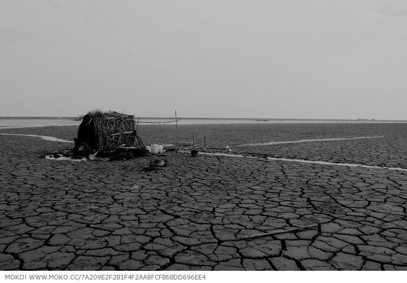 枯竭是什么意思