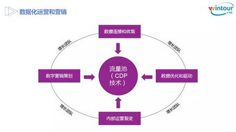 简述数据化营销的步骤