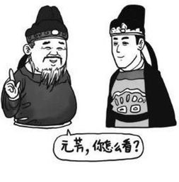 元芳你怎么看是什么意思是怎么回事呀