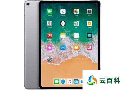 iPad尺寸多少？