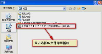 flv是指什么文件？