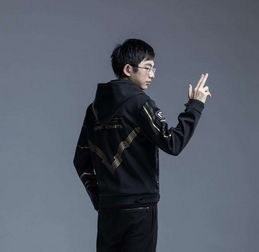 有首歌里面有句歌词叫摇摆哥。哥哥哥哥。求这首的